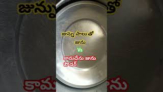 colostrum milk vs Kamadhenu junnu powder equal taste try it guystrending tastyguntur [upl. by Sackman313]