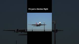 Its not a normal Qantas flight automobile plane airplane landing aviation short [upl. by Shandeigh713]