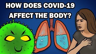 HOW DOES COVID19 AFFECT THE BODY [upl. by Iva349]