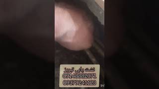 نشت یابی تبریز09148882071نشتیابی تبریز09379241123تشخیص رطوبت ترکیدگیلولهتبریزلوله کشی جزیی [upl. by Ecilayram]