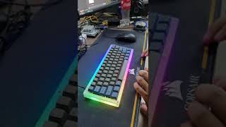 DZ60v3  Switch durock T1 sound test [upl. by Lehacim]