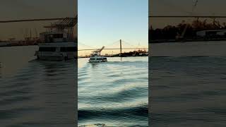 savannah river riverfront travelvlog music musica [upl. by Robin320]