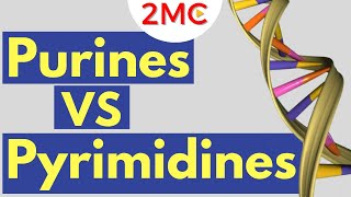 Purines vs Pyrimidines  Understanding Nitrogenous Bases of RNA and DNA [upl. by Veejar]