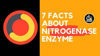 Nitrogenase Enzyme  Nitrogen fixation  Nitrogen Metabolism [upl. by Nanaj]