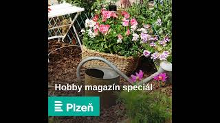 Hobby magazín speciál krmení želv drátování nebo bylinky [upl. by Fianna]