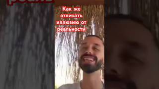 Попробуй вкус апельсина и ты поймешь себя в прямом опыте shorts shortsvideo жизньвмоменте [upl. by Divadnhoj]