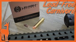 Over 3000 fps with Lehigh XD 350 Legend Ballistics Gel at 100 and 200 Yards  The Social Regressive [upl. by Toy613]