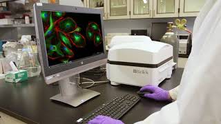 Agilent BioTek Lionheart FX Automated Microscope and Gen5 Microplate Reader and Imager Software [upl. by Sadonia554]