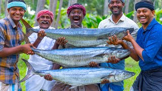 3 BIG FISH FRY  Streaked Spanish Mackerel Fish Fry Recipe Cooking In Village Vanjaram Meen Varuval [upl. by Maccarthy]