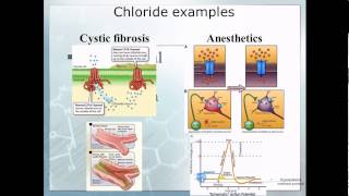 Pathophysiology 10 Electrolyte imbalace [upl. by Hctud]