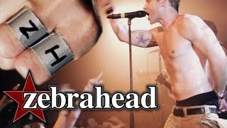 Zebrahead  Im Just Here For The Free Beer Official Live Video [upl. by Reviel]