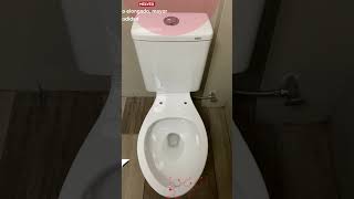 CONOCE EL WC SUSTENTA DE HELVEX Helvex elsurtidor plomeria plomero viral sanitario wc baño [upl. by Aicenet]