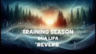 Dua Lipa  Training Season Reverb Lyrics [upl. by Einahpad]