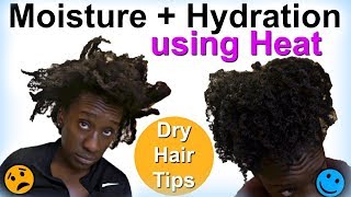 Hydrating amp Moisturizing Natural Hair w Heat  LOC Method on 4c Hair [upl. by Cohdwell590]