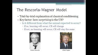 PSYC 370 Video Lecture  The Rescorla Wagner Model [upl. by Wolgast]