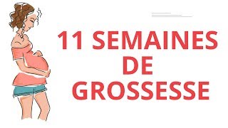 11 SEMAINES DE GROSSESSE [upl. by Arreyt]