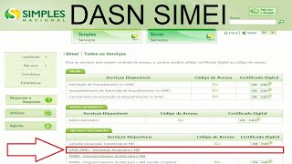 Declaração Anual do MEI 2017 DASN SIMEI 2017  Passo a passo de como fazer a declaração [upl. by Aratahs]