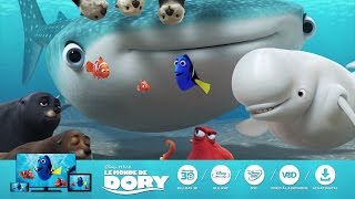 Le Monde de Dory  Avec vous partout dès aujourdhui  I Disney [upl. by Wright]