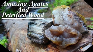 INSANELY Amazing Finds Discovering Agatized Wood Agates and CRYSTALS in the Mountains [upl. by Eseerehs]