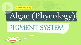 Pigment System  Algae Phycology [upl. by Hausner]