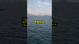 “🗣️ 10 MustKnow Korean Phrases for Everyday Conversations 🇰🇷 shorts [upl. by Nahshu356]