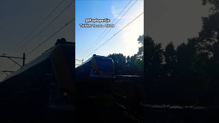 Sprinter arriveert op station Ermelo nederlandsespoorwegen train koplopertje shorts short [upl. by Acilejna138]