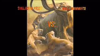 Smilodon Pride Vs Bull Mammoth [upl. by Solraced787]