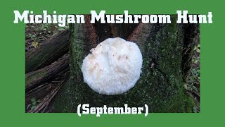 Michigan Mushroom Hunt in September [upl. by Manfred]