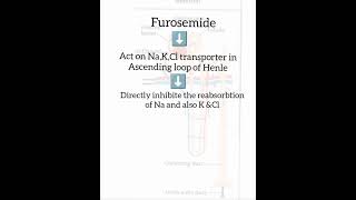 MOA OF DIURETICS FUROSEMIDE [upl. by Sabanrab]