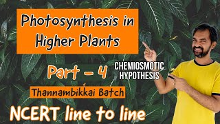 Photosynthesis in higher plants  Part 4  Chemiosmotic hypothesis  NCERT LINE TO LINE [upl. by Hestia589]