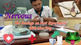 The Feelings on First Experiment on Alive Frog 🐸 [upl. by Ehling]