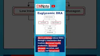 Euglycemic Diabetic Ketoacidosis EDKA [upl. by Eentihw]