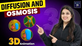 Diffusion and Osmosis 3D Animation  Science in 3D [upl. by Anadal]