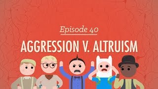 Aggression vs Altruism Crash Course Psychology 40 [upl. by Yerrot]