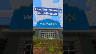 I added Walmart to Minecraft [upl. by Ahsasal]