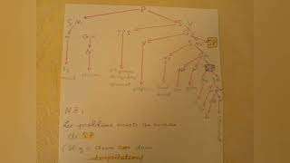 Syntaxe 2 Semestre 5 La Grammaire générative et transformationnellereprésentation arborescencte [upl. by Eilahtan]