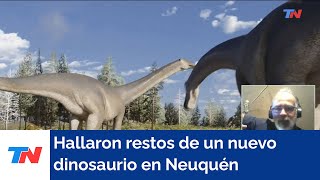 Hallaron los restos de un nuevo dinosaurio en Patagonia que pesaba 15 toneladas y era herbívoro [upl. by Enidaj]