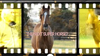 Arazi  The Next Super Horse America Press Go to France to Visit the Kentucky Derby Favorite 1992 [upl. by Sharos374]