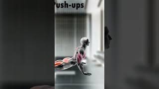 From Beginner to Pro Master These PushUp Techniques at Home [upl. by Mckinney]