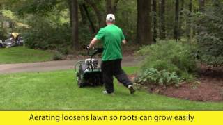 Tall Fescue Overseeding [upl. by Bradly]