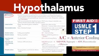 Hypothalamus all nucleus of hypothalamus amp their functions Kallmann syndrome in HindiUrdu [upl. by Kling807]