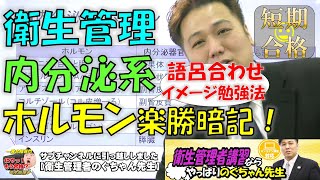 衛生管理者 内分泌系・ホルモン 瞬殺暗記法！語呂合わせイメージ暗記法！ [upl. by Dalis263]