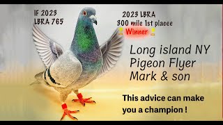 Mark and Son Loft shares secrets that can make you a pigeon champion [upl. by Jemy]