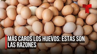 Dramático aumento en el precio de la docena de huevos [upl. by Enel]