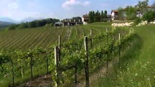 Der italienische Schaumwein Prosecco  Welterfolge aus der Provinz 04  Euromaxx serie  Euromaxx [upl. by Mcdonald]