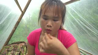 Solo Camping Girl camping in the rain on the island  Find firewood to cook [upl. by Litnahc]