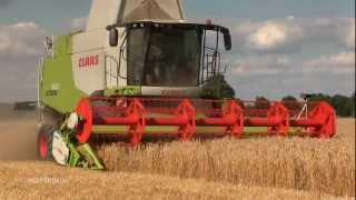 Claas Lexion 660 Mähdrescher mit V 660 Schneidwerk bei der Ernte [upl. by Oiramat]