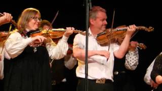 Norwegian folk music Groups playing on Hardanger fiddle [upl. by Aicilf]