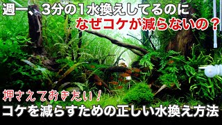 水草水槽でコケを出さないための水換え方法〜適切な水換え回数と換水量は？初心者のための熱帯魚飼育 How to do water change in aquarium [upl. by Intosh]