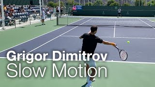 Grigor Dimitrov Forehand amp Backhand Tennis Practice at Court Level in Slow Motion  Indian Wells [upl. by Eceela571]